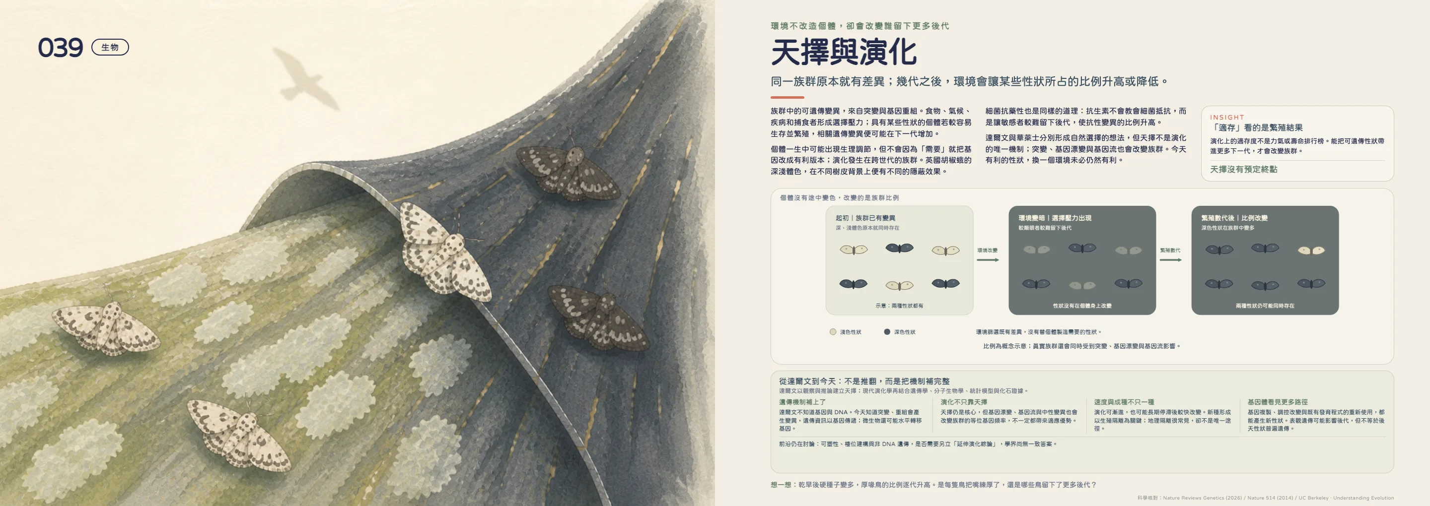 《數學科學100》天擇與演化跨頁：胡椒蛾在翻面的樹皮背景中呈現族群比例改變